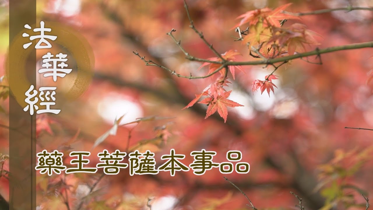 【靜思妙蓮華】 法華經 藥王菩薩本事品 - 修因得果 自勉待記 - 第1842集 20250102