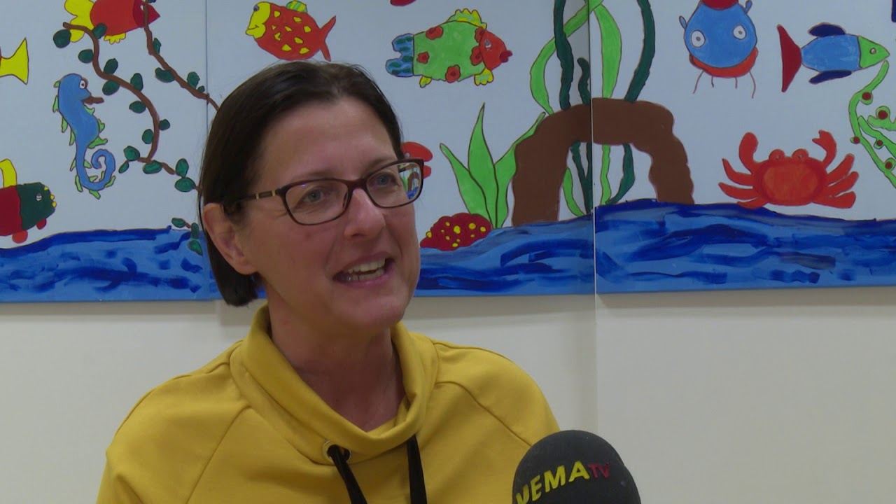 Schulreform 2018-2019