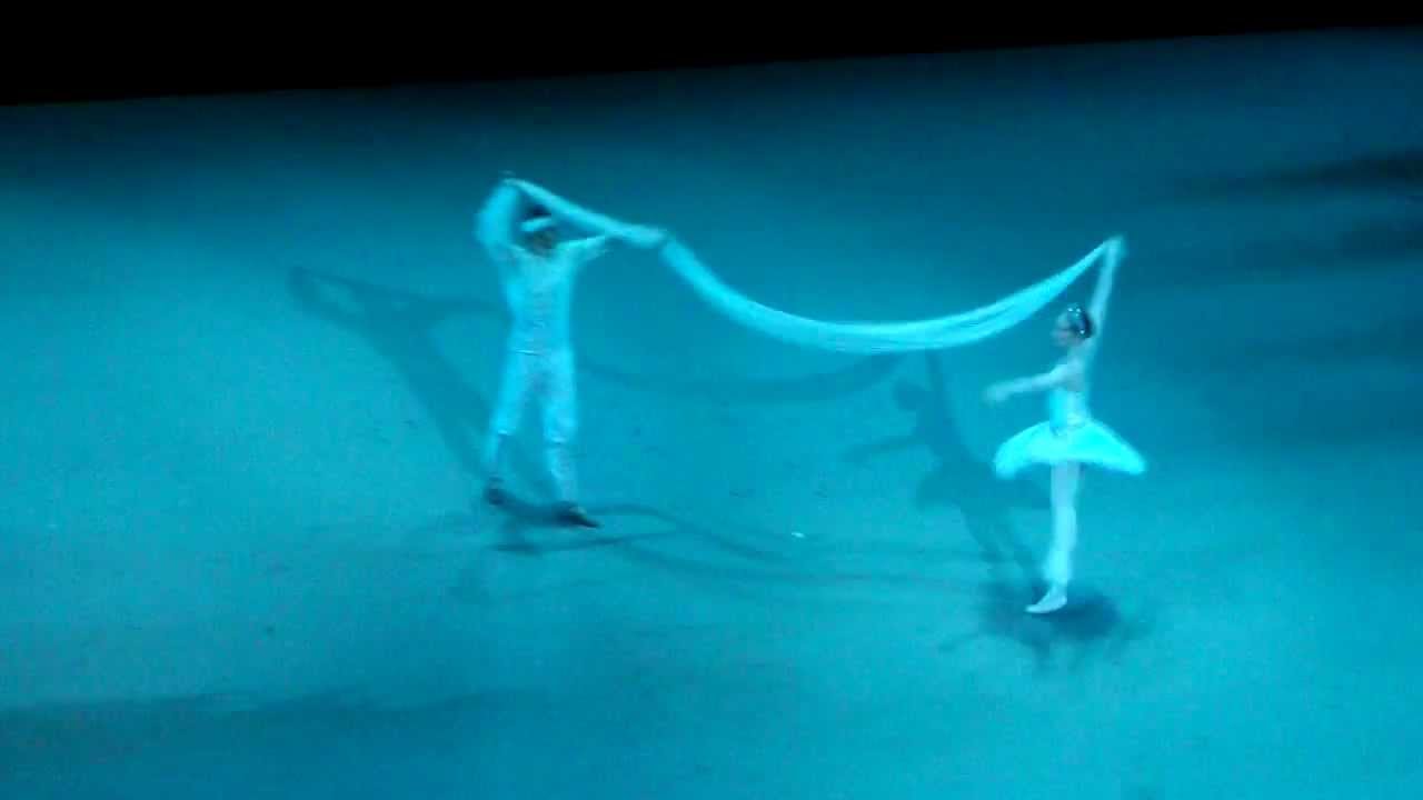 Veil Pas de Deux (Emilie Cozette, Karl Paquette) - La Bayadère Act 3 - Opéra Bastille 10/03/12