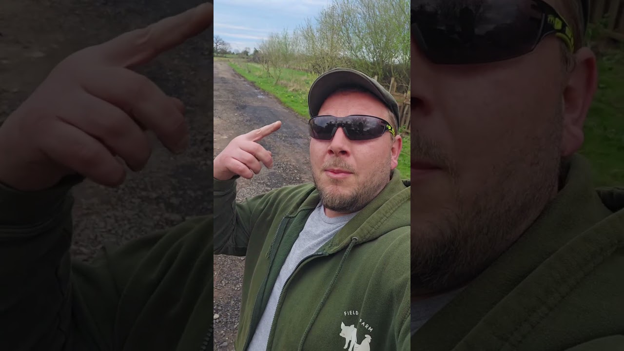 Теперь я ненавижу физический труд @chaseplanthire #СделайСам #мини-погрузчик #жизньвдалиотгородей...