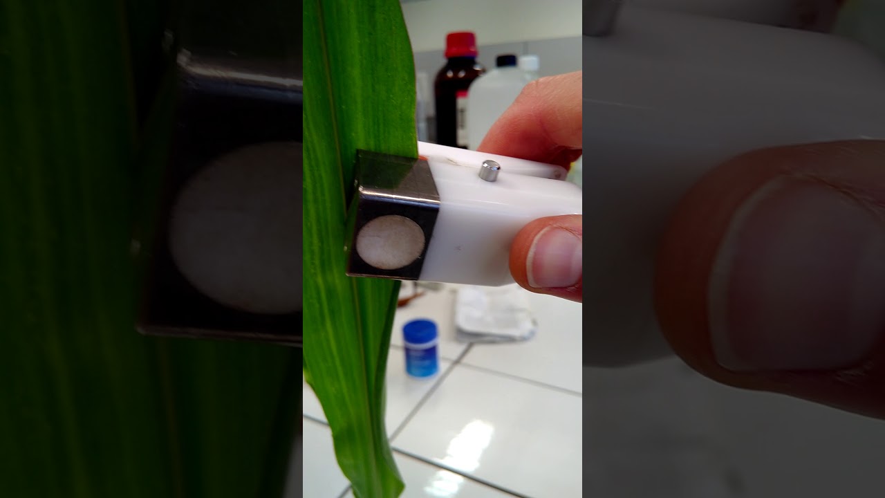 6   New porometer  & leaf