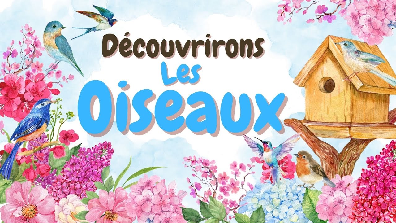 Les oiseaux 🐦 🦆🦢🦜 pour les enfants  | Vid&eacute;o &eacute;ducative et amusante @minicurieux1