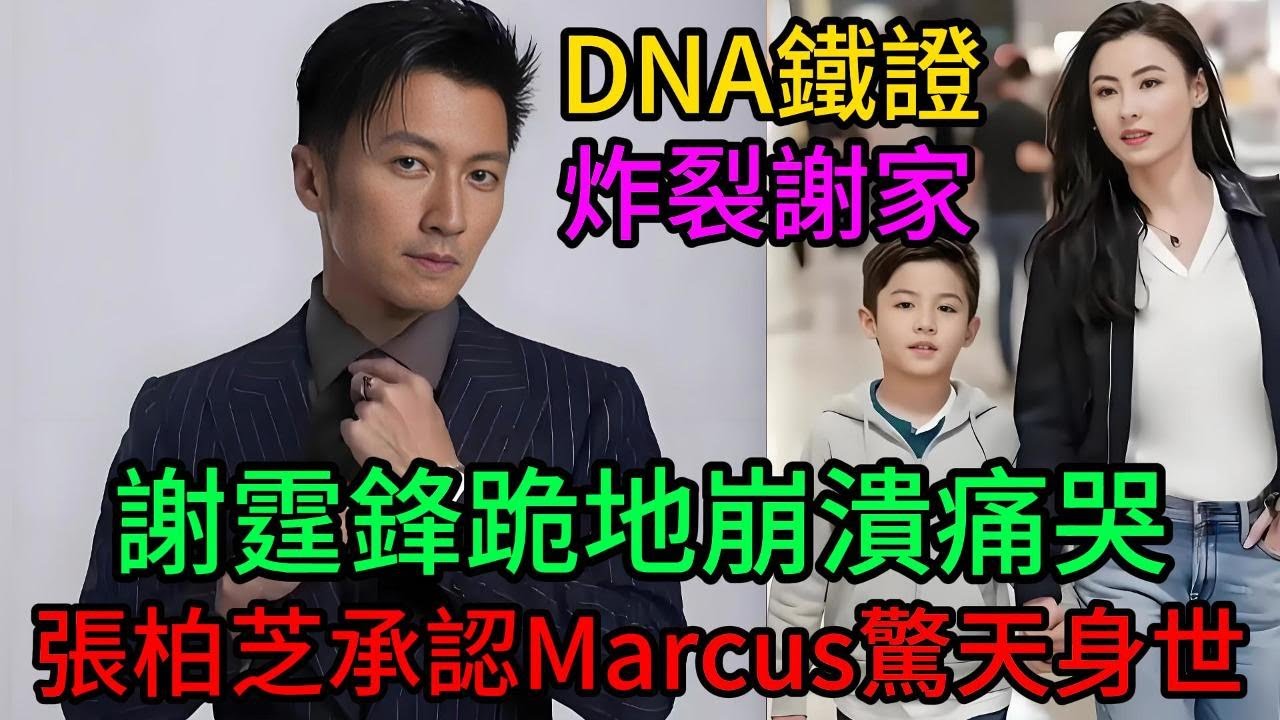 一份DNA鐵證炸裂謝家！謝霆鋒跪地崩潰痛哭！張柏芝淚崩承認Marcus驚天身世！