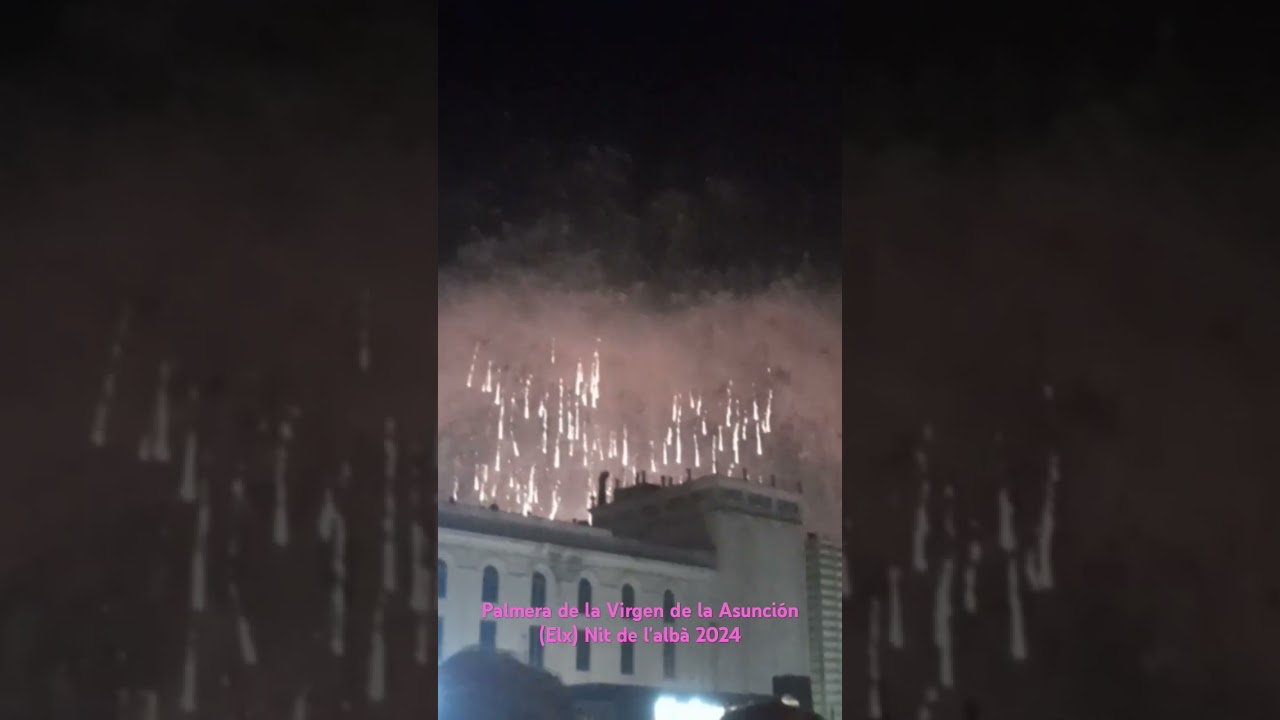 Noche de la alborada o Nit de l'alb&agrave; 2024 Elche. Palmera de la Virgen de la Asunci&oacute;n