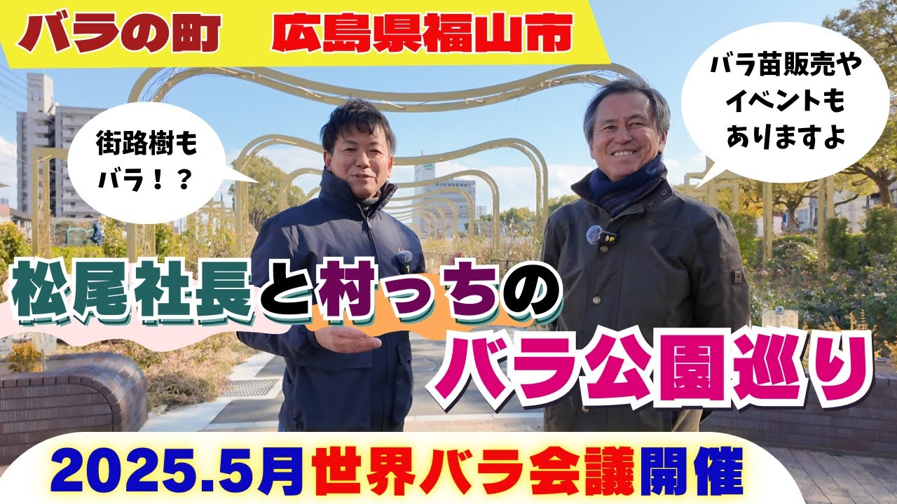 松尾社長と散歩】広島県福山市はバラの町～街中がバラ園です