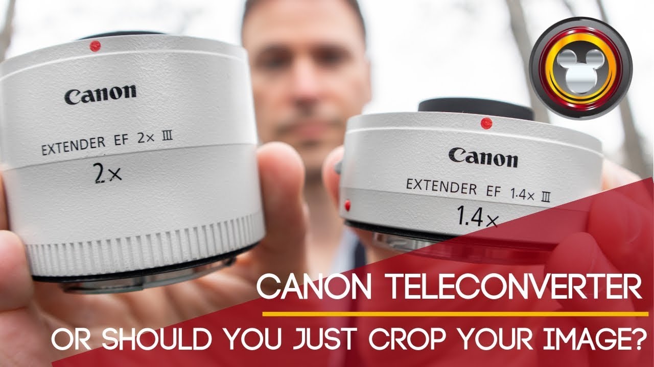Телеконвертер Canon — или стоит просто обрезать изображение?