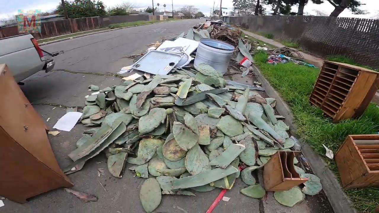 Lo Que Tiran en las Calles ala Basura es INCREIBLE Mira! todo lo que Encontré 🇺🇸#160