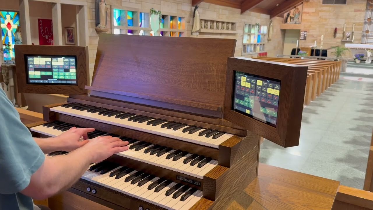 Hail Holy Queen - Content Cambiare Organ Solo