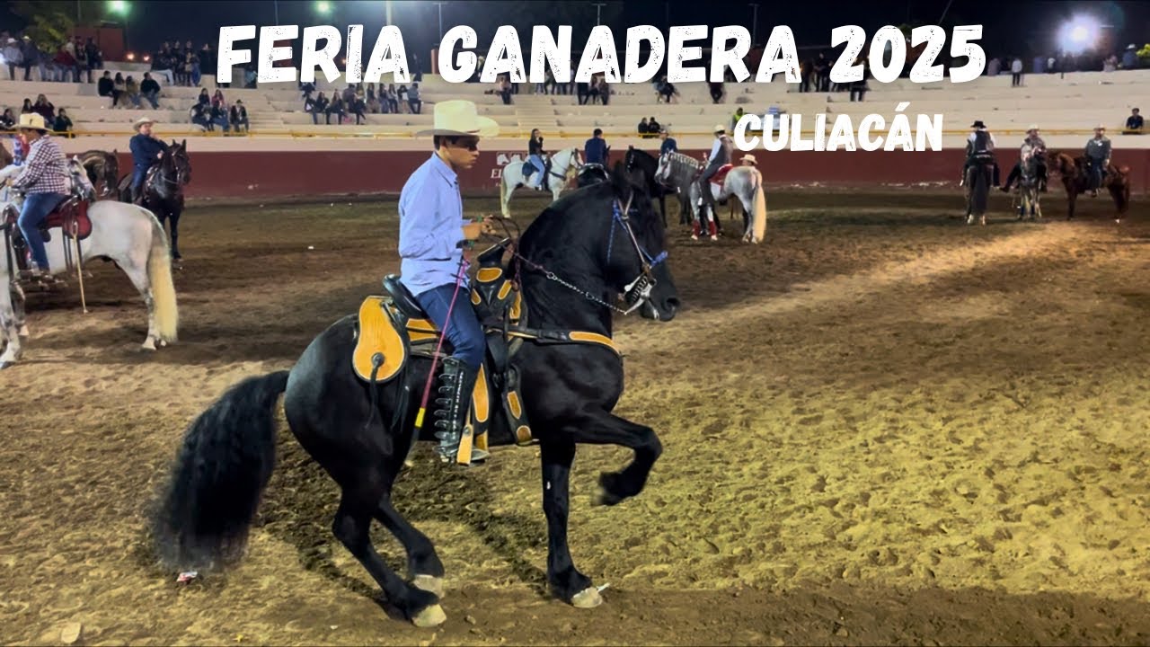 DE FIESTA POR LA FERIA GANADERA CULIACÁN 2025🐴😳🔥/Los Arrieros de Sinaloa\