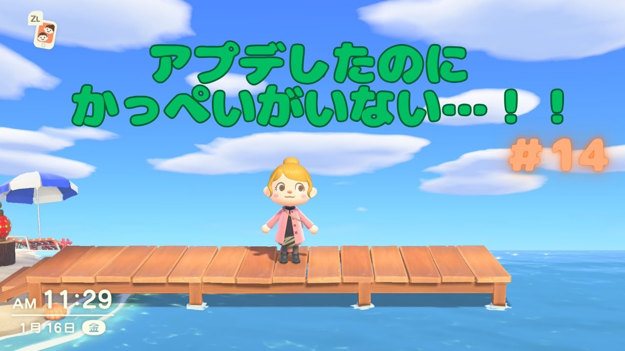 【あつ森】かっぺいがいない…😭【あつまれどうぶつの森】