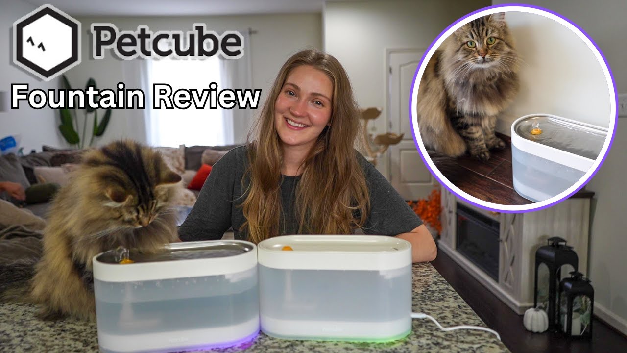 Обзор фонтана для домашних животных Petcube | Тихий и современный поилка для кошек и собак