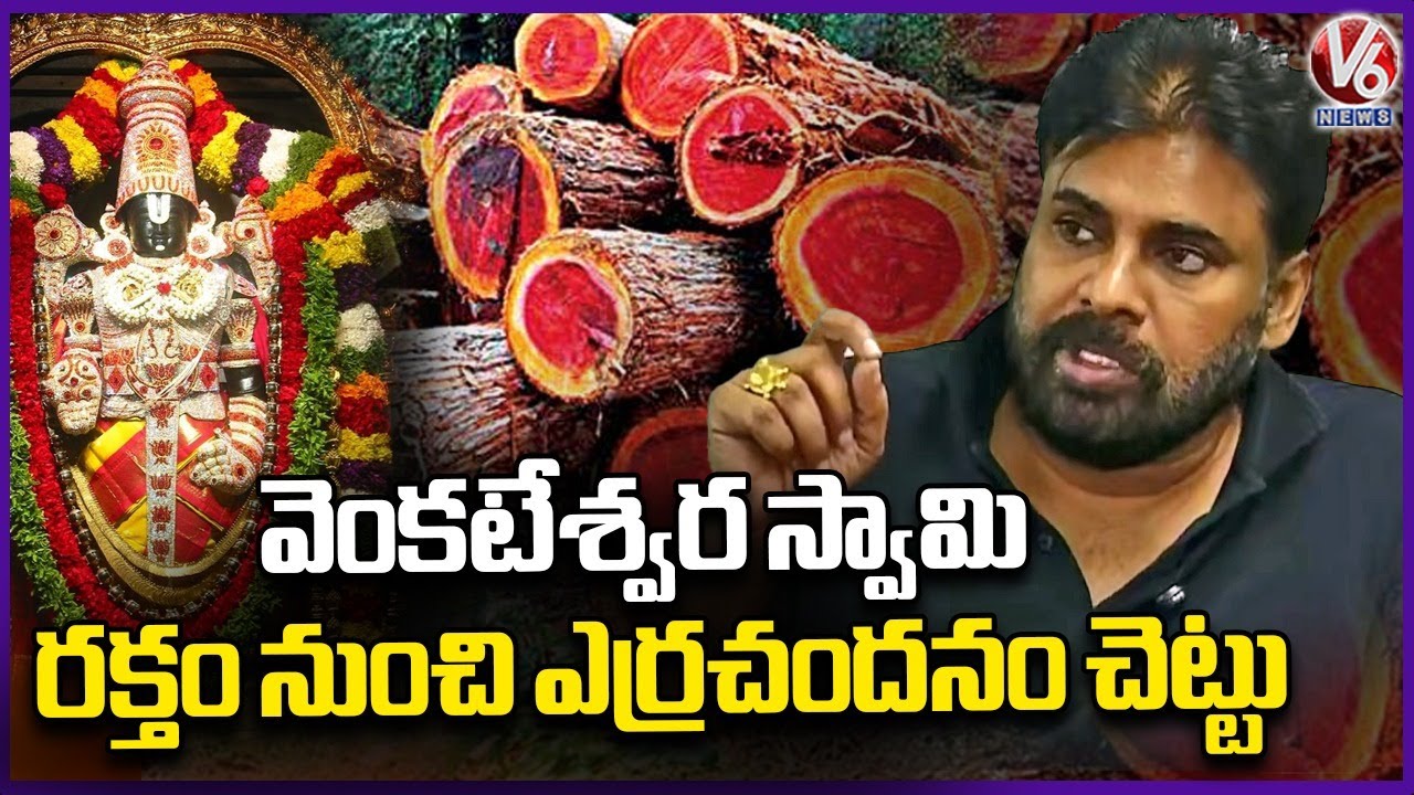 Red Sandalwood Come From  Lord Venkateswara Swamy Blood : Pawan Kalyan | V6 News