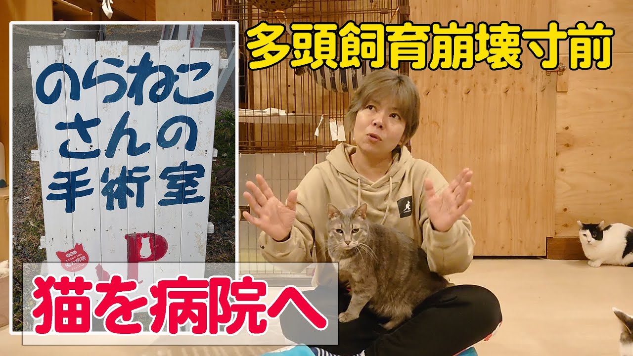 ＃２３【病院へ！】多頭飼育崩壊寸前…大阪の動物病院へ