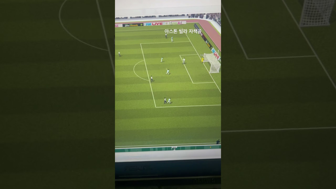 FM2010 Demo Man city vs Aston Villa 3:3