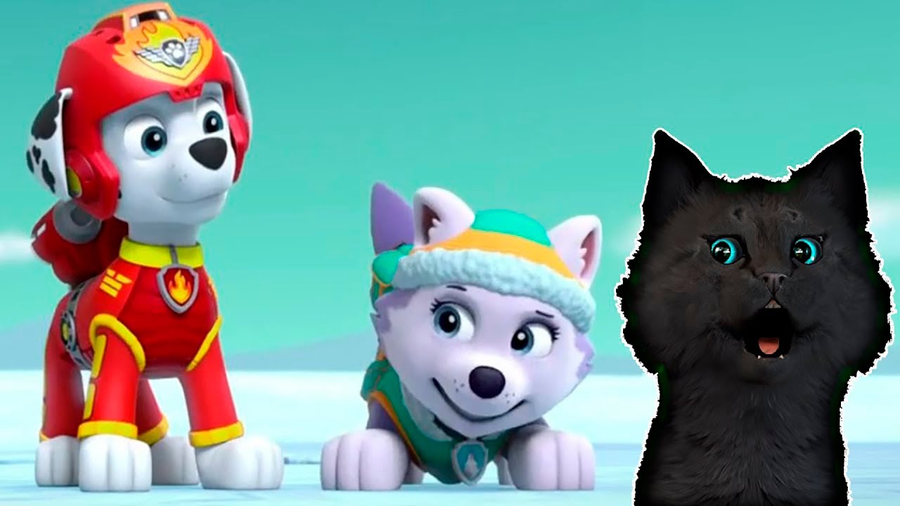 СУПЕР КОТ И СУПЕР СОБАКИ СПАСАЕМ ОБЕЗЬЯНКУ МЭНДИ ИЗ ВУЛКАНА #6 🐱 Mighty Pups Save Adventure Bay #231