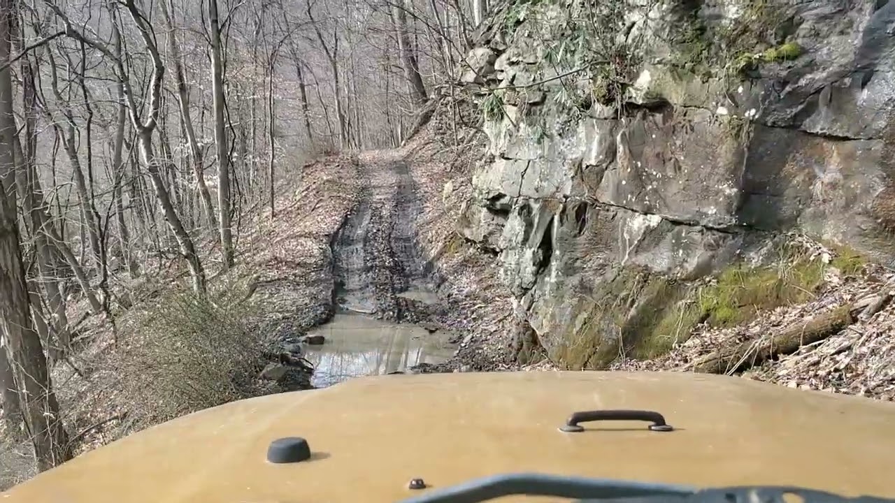 Wolf Den Run State Park, Trail 2301, Badge of Honor Trail