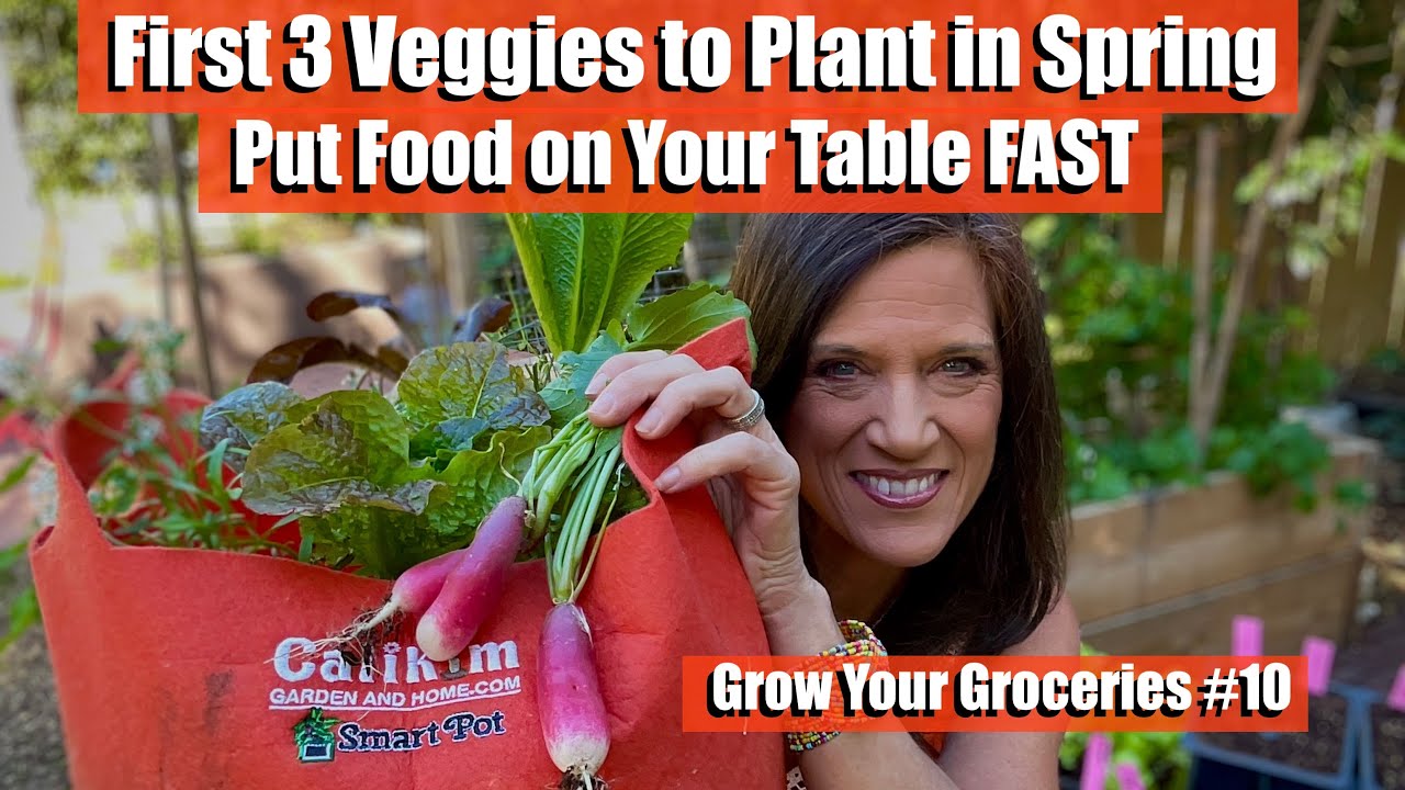 3 Vegetables to Plant FIRST in Spring to Put Food on Your Table FAST / Grow Your Groceries #10