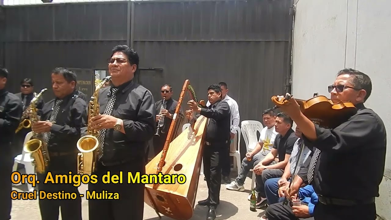 MULIZAS DE SIEMPRE; AMIGOS DEL MANTARO