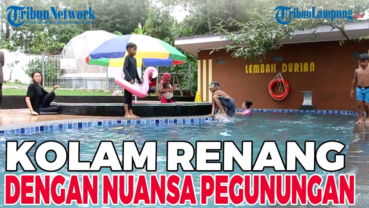 Kolam Renang Lembah Durian Farm Stable, Tempat Wisata Lampung Nuansa Pegunungan #tribunlampung