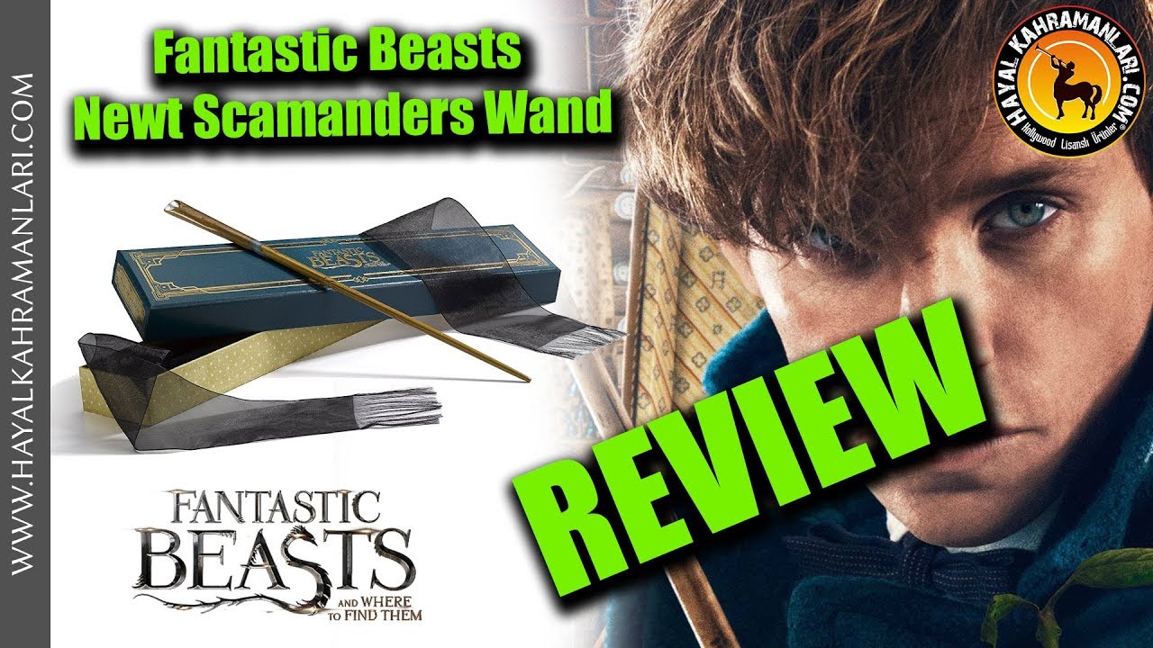 Wand of Newt Scamander in Collector's Box - Fantastic Beasts - Noble Collection | Review