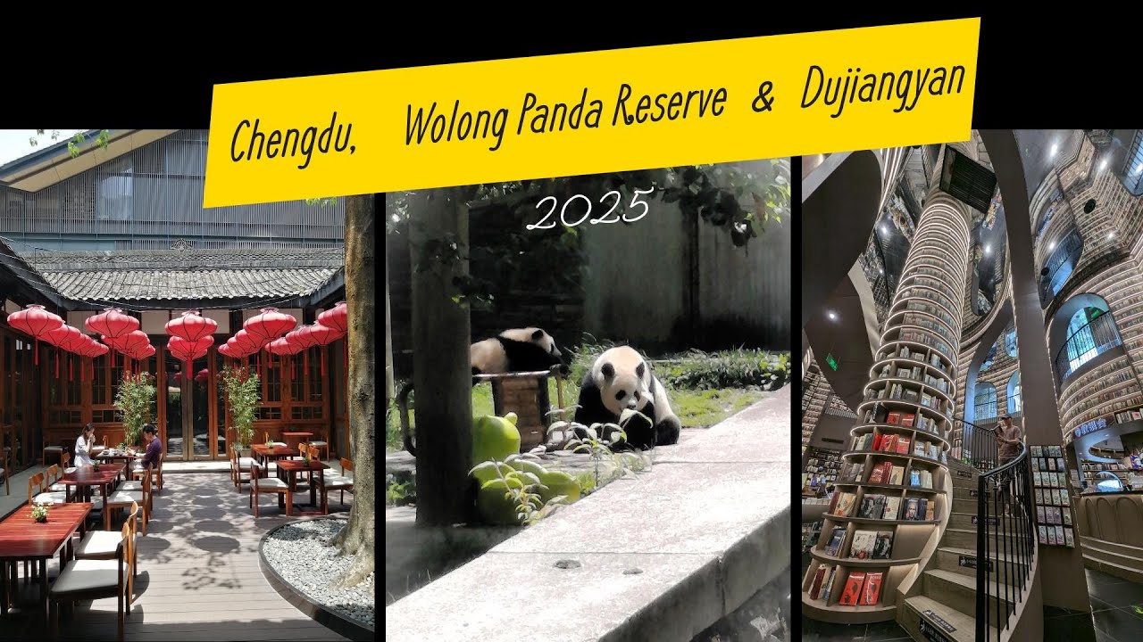 Chengdu,  Wolong Panda Reserve  &  Dujiangyan