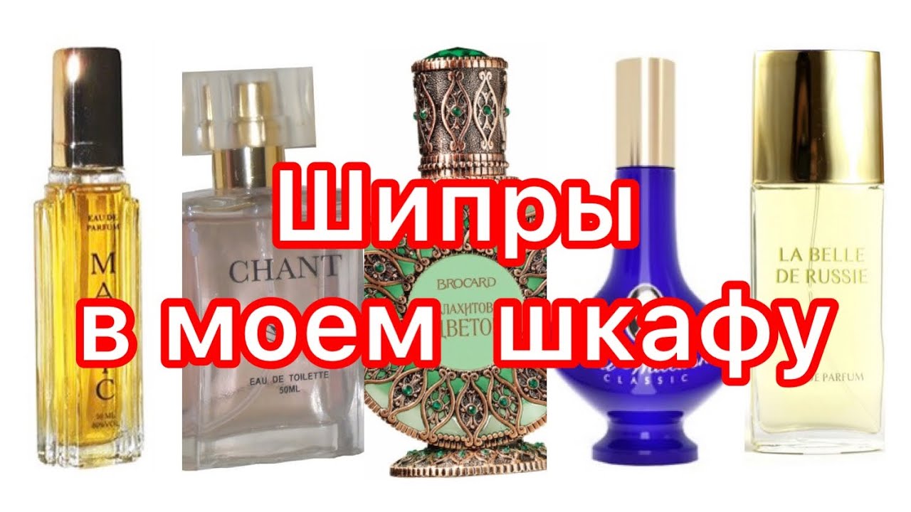 По вашим просьбам! ШИПРЫ / Бюджетная парфюмерия.