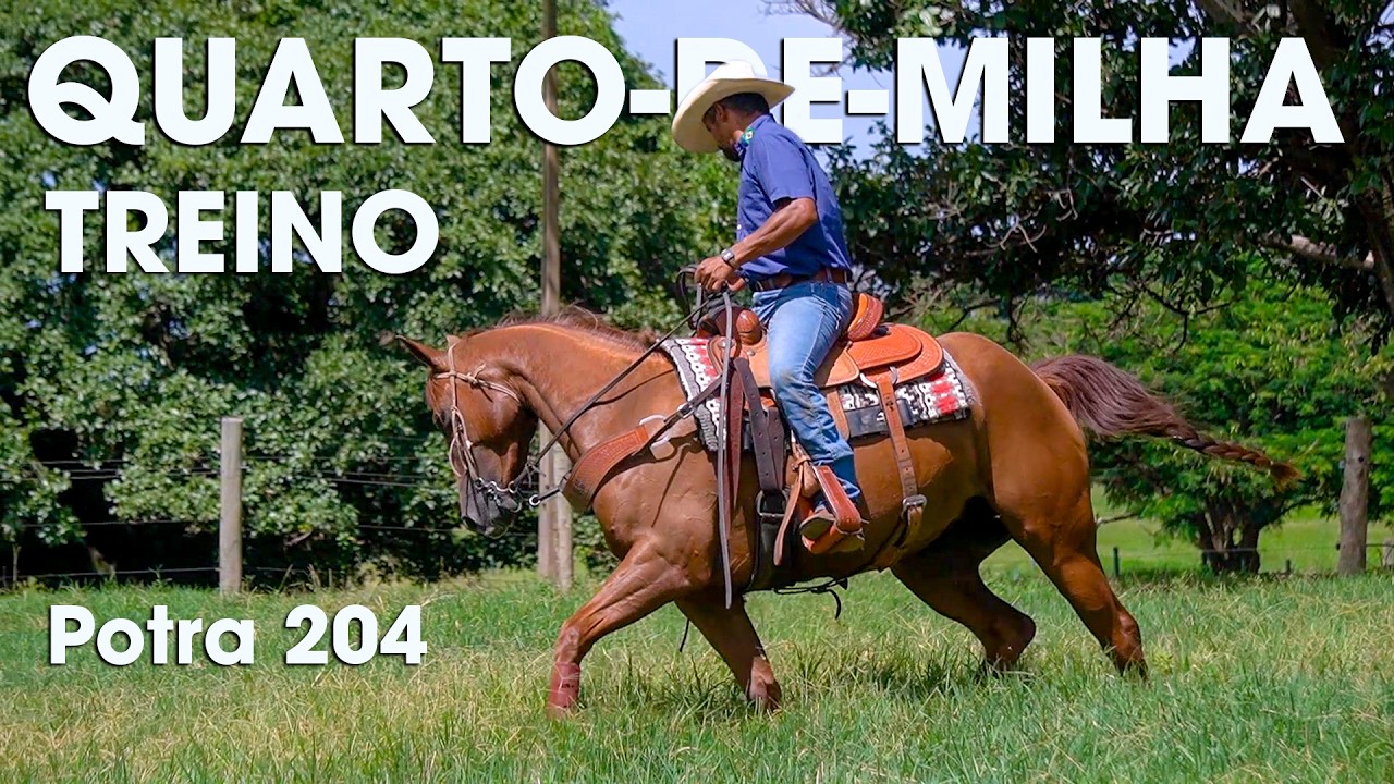 TREINO DA POTRA 204 - QUARTO-DE-MILHA