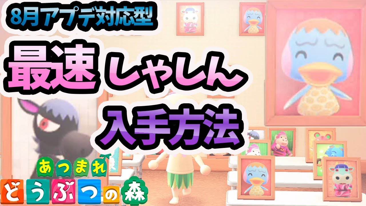 写真（しゃしん）の入手条件が変更！アプデ対応型の最速しゃしん入手方法を解説する！【あつ森】【攻略・裏技】