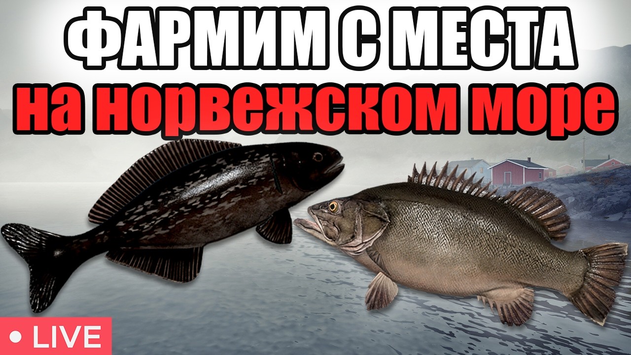 РР4 СТРИМ • ПРОВЕРЯЮ ГДЕ ЛУЧШЕ ФАРМ СЕРЕБРА НА МОРЕ   •   РУССКАЯ РЫБАЛКА 4