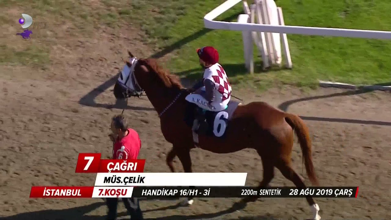 TAY TV Canlı Yayını