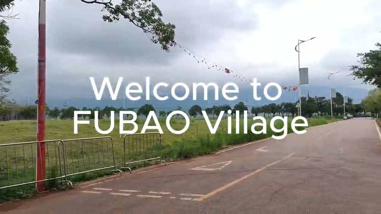 Rainy Walk Through FUBAO Village with Friends!