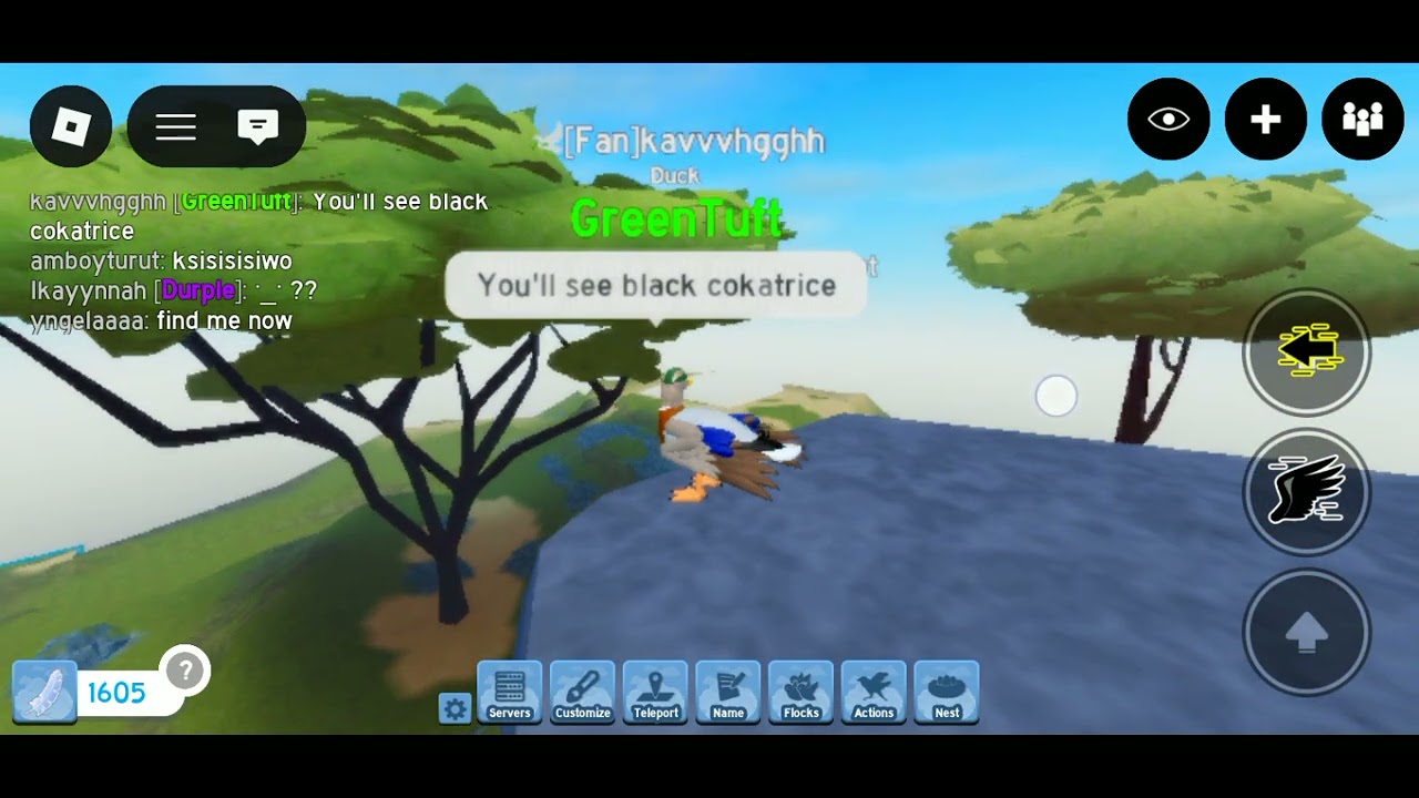 @kathleen.-.3978, I found Oceanwing's old home