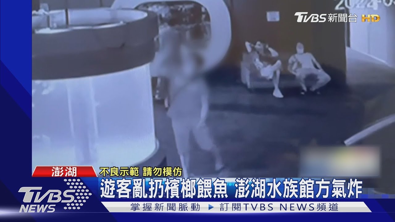 遊客亂扔檳榔餵魚 澎湖水族館方氣炸｜TVBS新聞