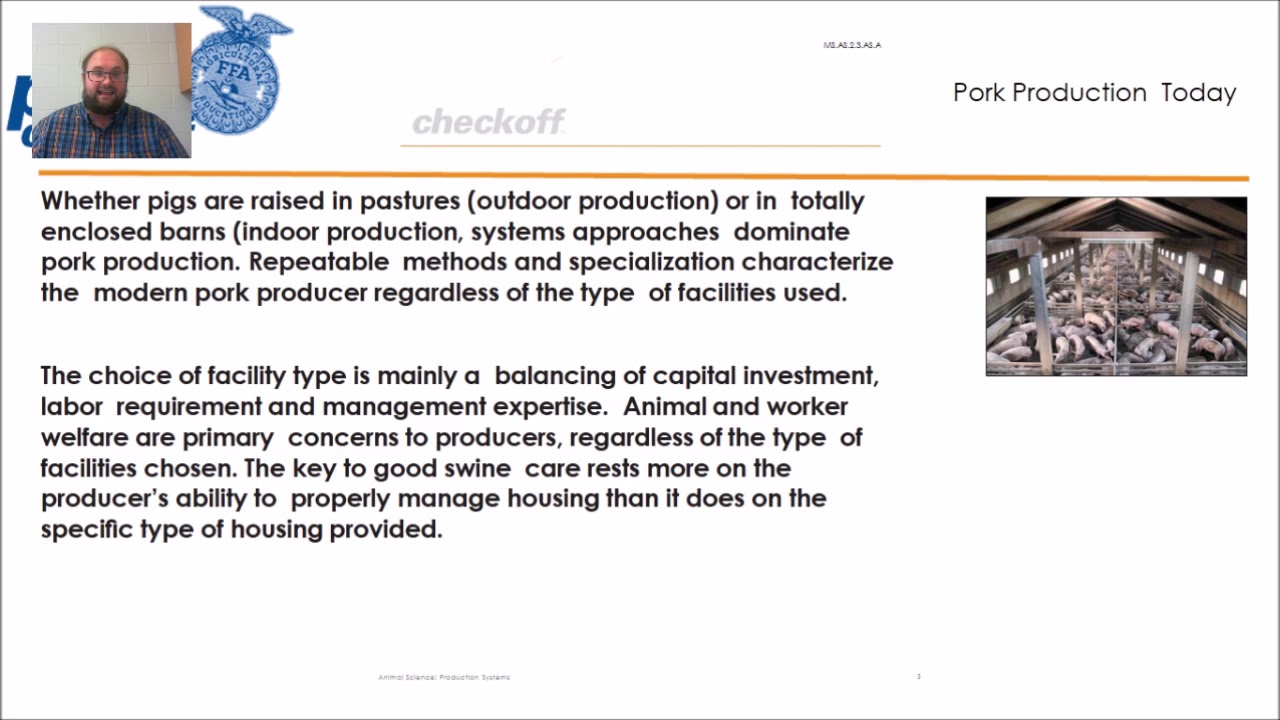 How are Pigs Raised  Swine Production Systems