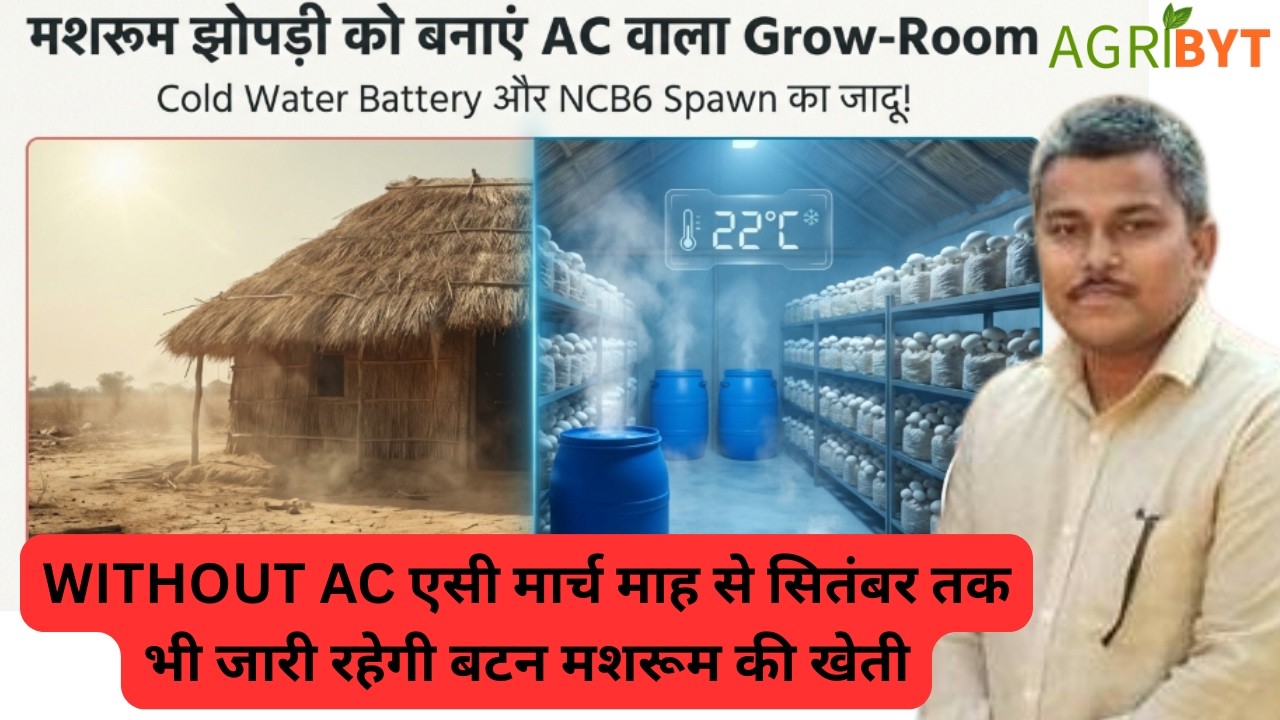 Простой способ продлить сезон выращивания грибов на ферме, увеличить урожайность и получить допол...