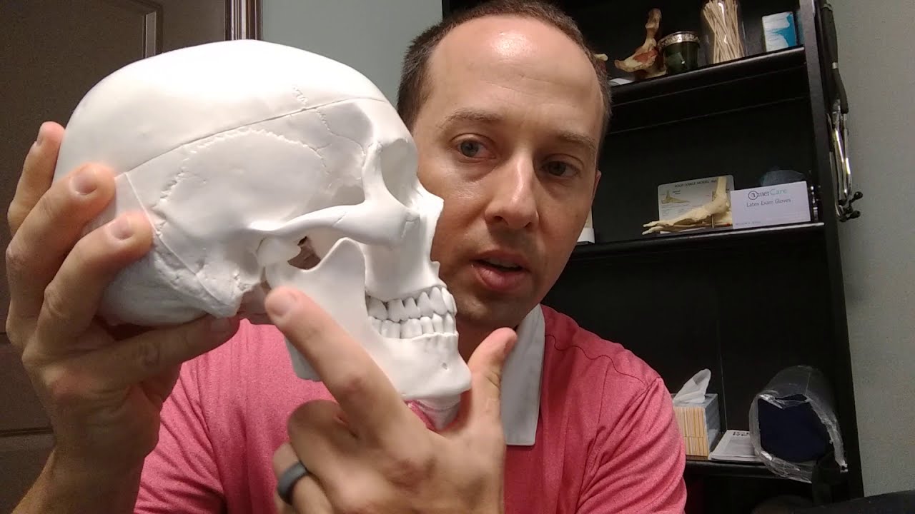 TMJ Resting Jaw