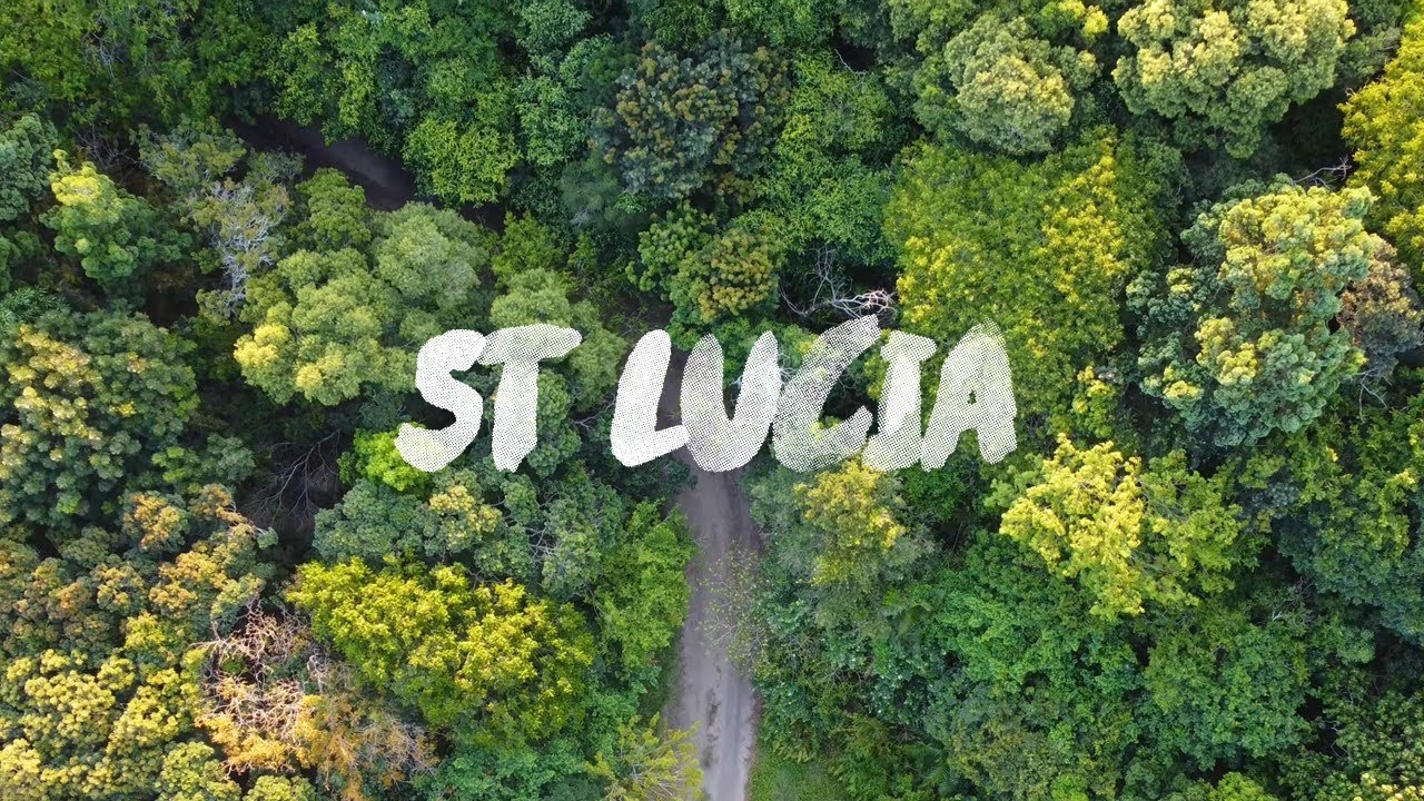 St Lucia | Wetlands | Forest | KZN | #4K