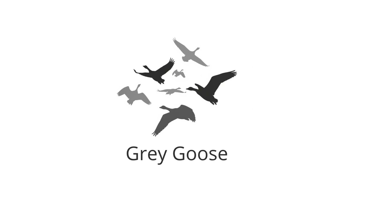 Grey Goose - Yanuery Ft. Sjoerd