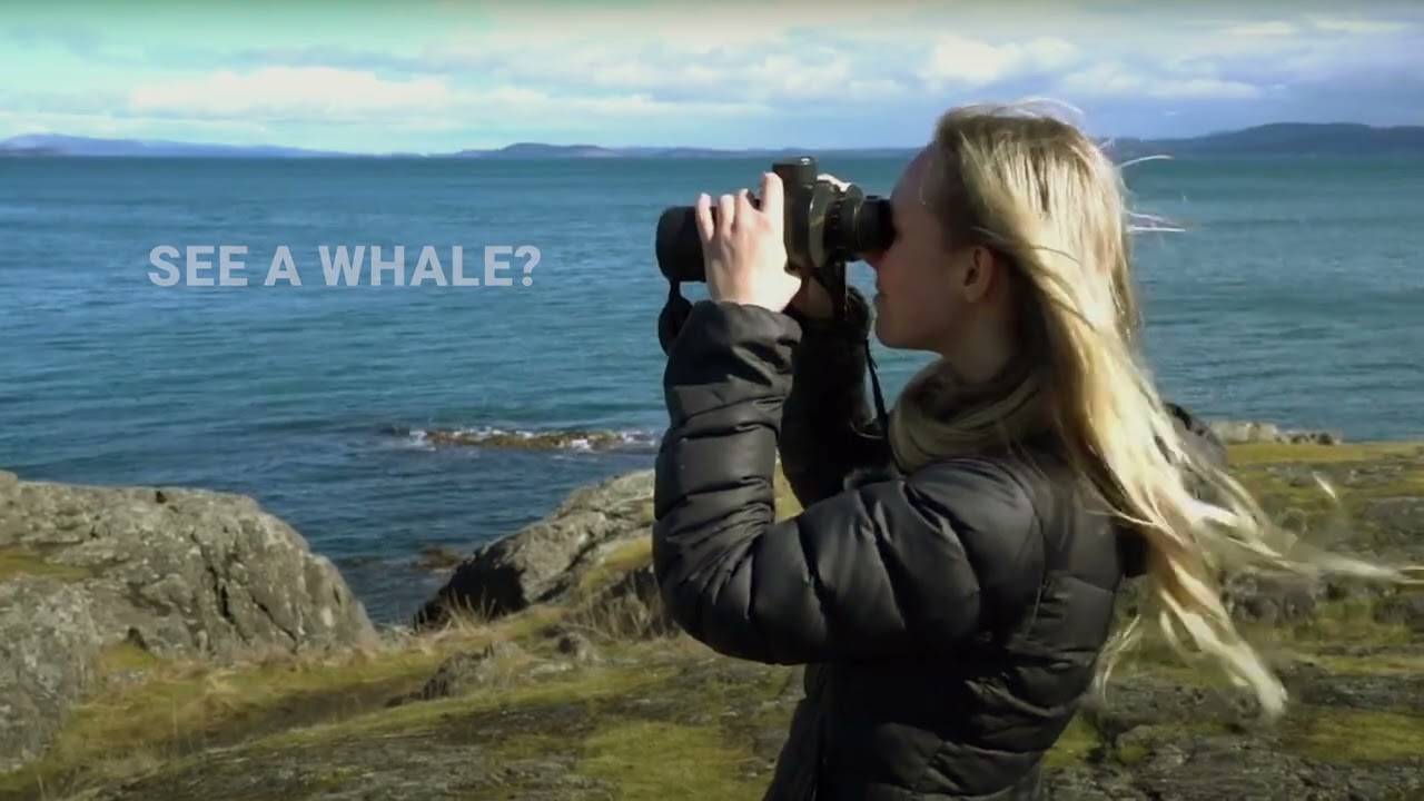 Welcome to the Ocean Wise Whale Report app!