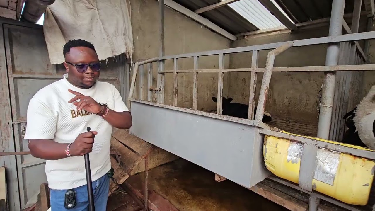 Uterizing small space for calfs and bulls