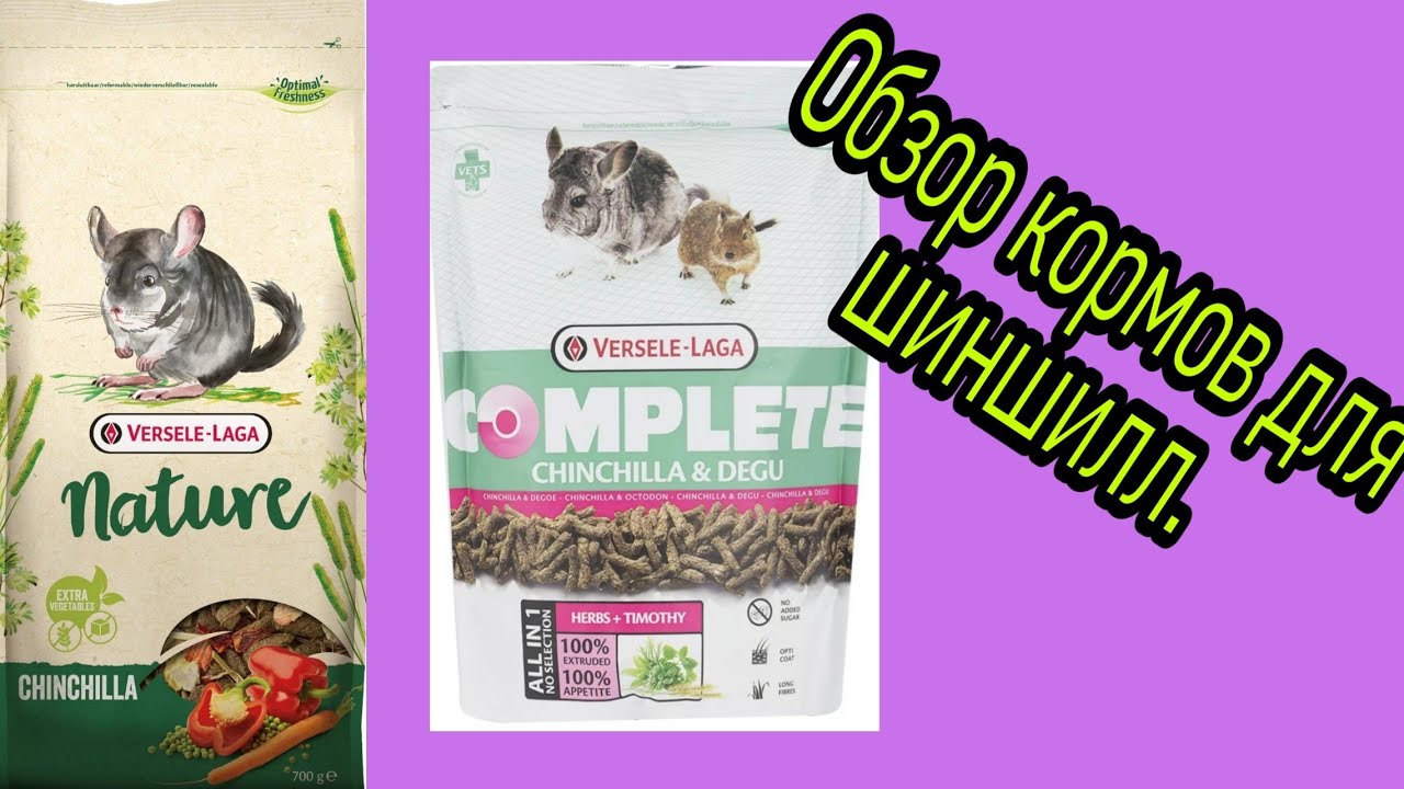 Обзор кормов для шиншилл.