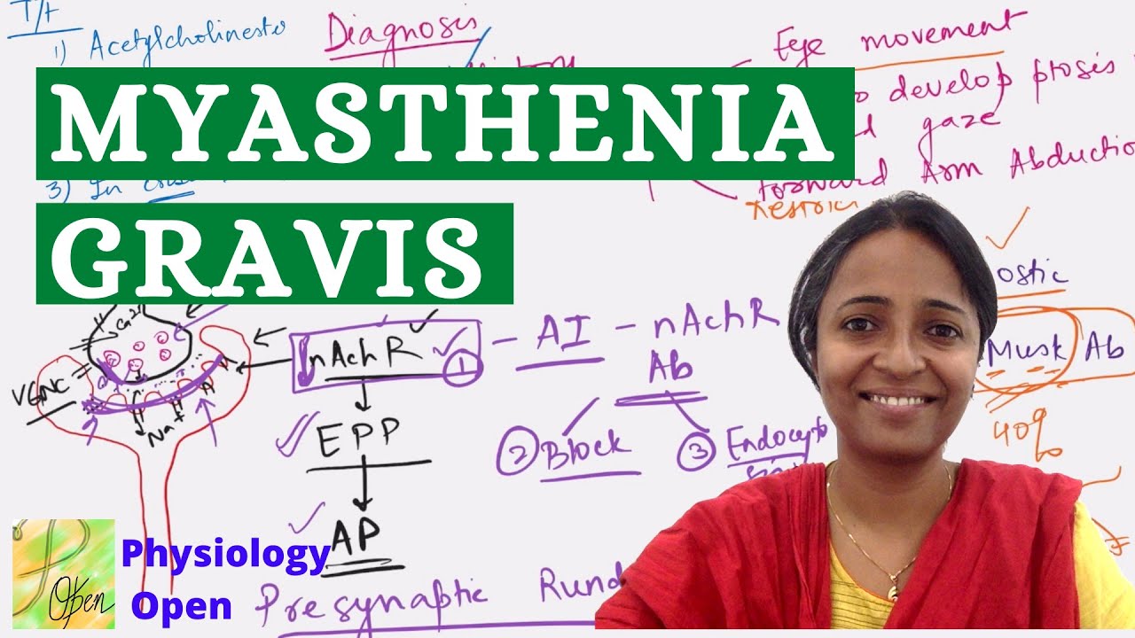 Myasthenia gravis physiology mbbs lecture | muscle physiology