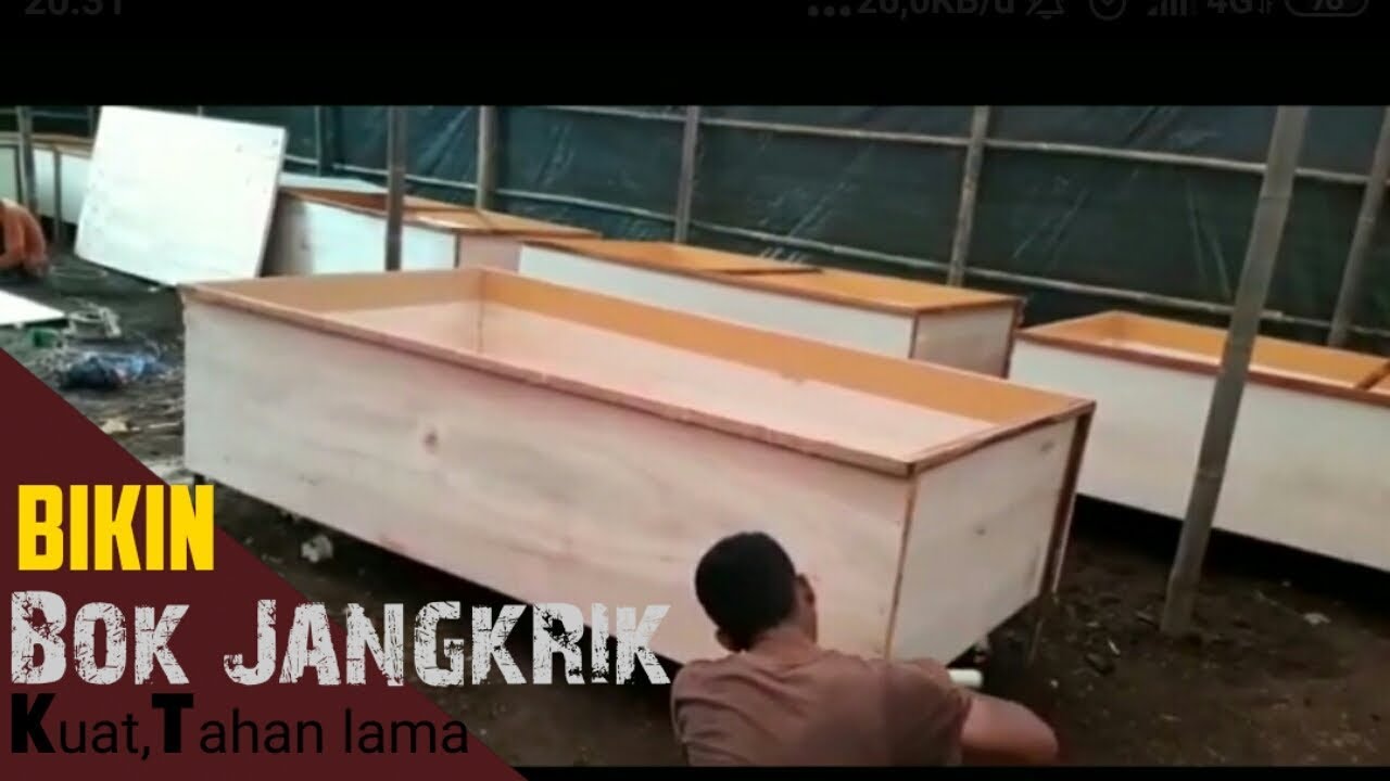 Cara paling mudah bikin bok jangkrik bisa di kerjakan seorang diri dan juga kuat #ternakjangkir