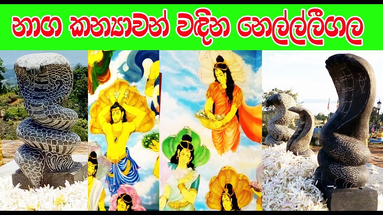 Nelligala International Buddhist Center වෙස් මාරුකරන නාගයින් අදටත් එන නෙල්ල්ලීගල