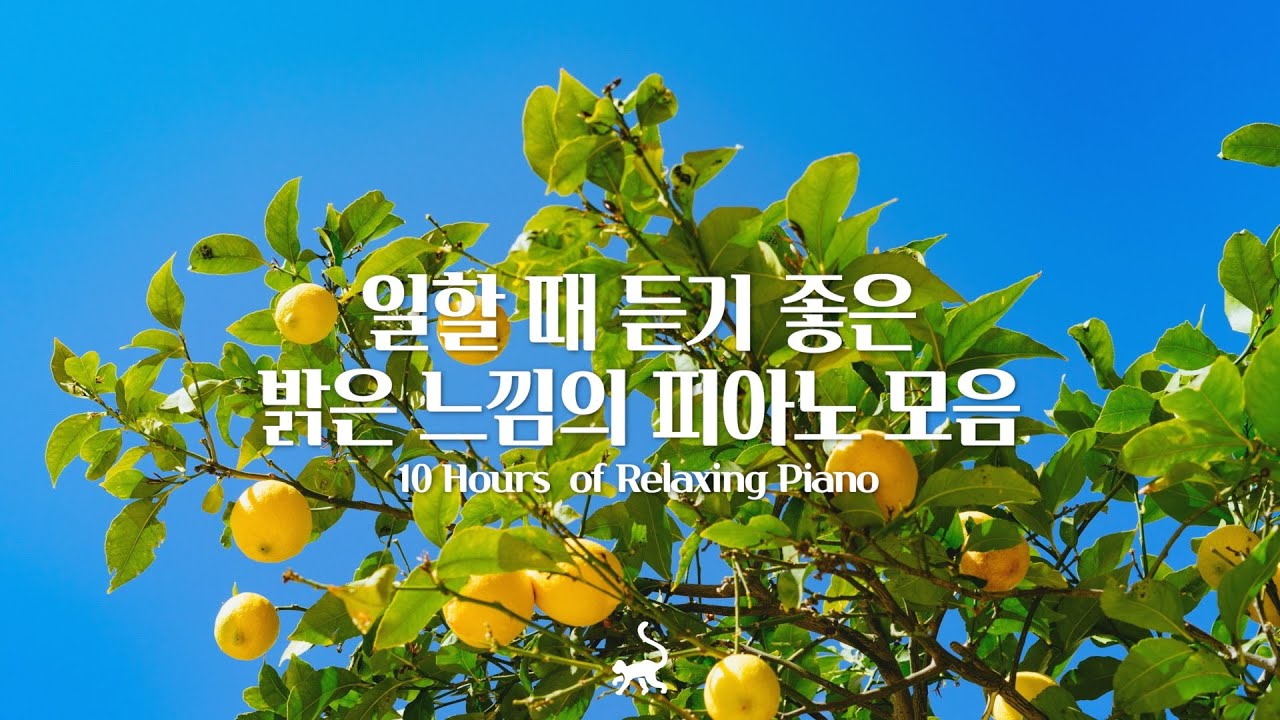 여름을 가득 담은🍋 듣기만해도 기분 좋아지는 밝은 피아노 음악 10시간 l 일할때 듣기 좋은 피아노음악(중간광고없음)(공부, 집중, 일, 힐링, 매장, 카페음악)