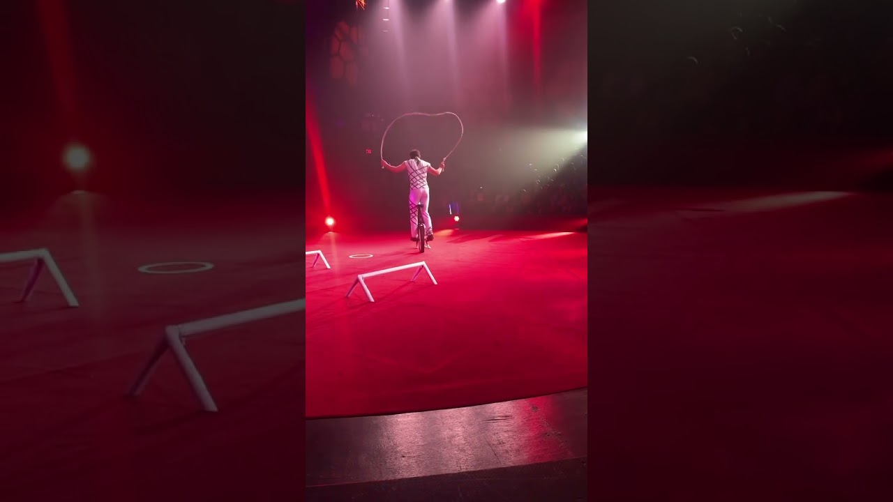 At the circus! Look at that dog jumping !