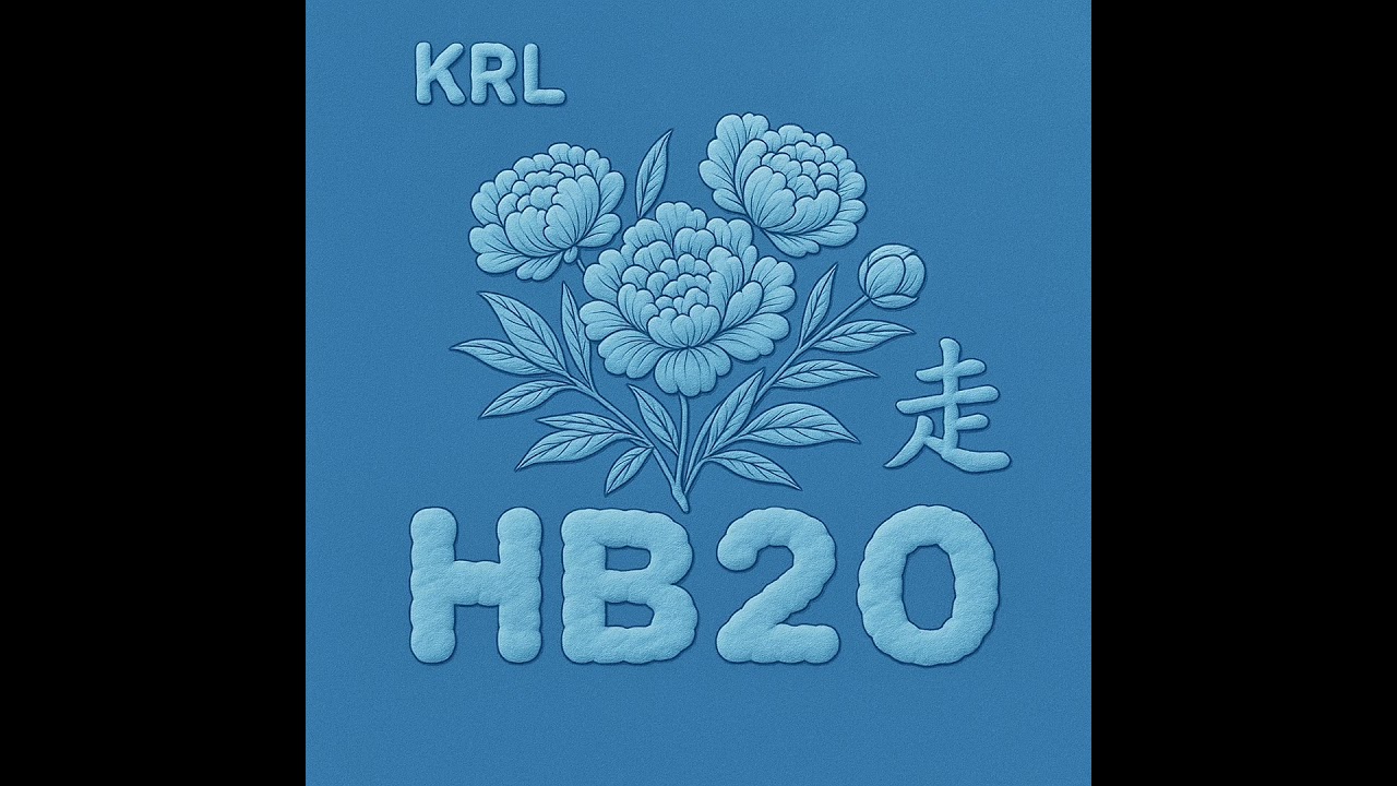 HB20