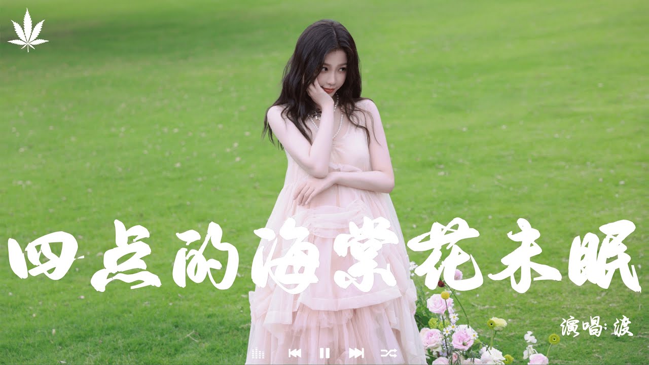 渡 - 四点的海棠花未眠 | Du - Si Dian De Hai Tang Hua Wei Mian『凌晨四点我看见海棠花未眠，或许暗恋都藏在眼泪之间。』【動態歌詞MV】♪