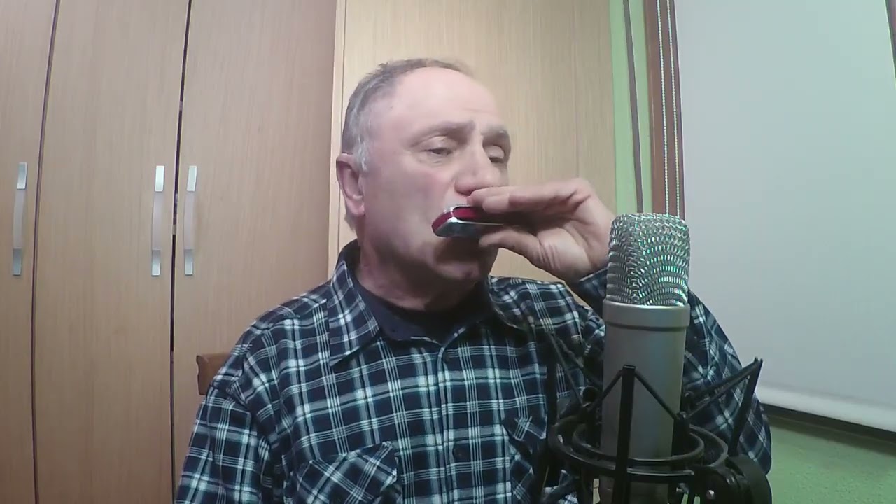 Blowin In The Wind - Bob Dylan - armónica harmonica