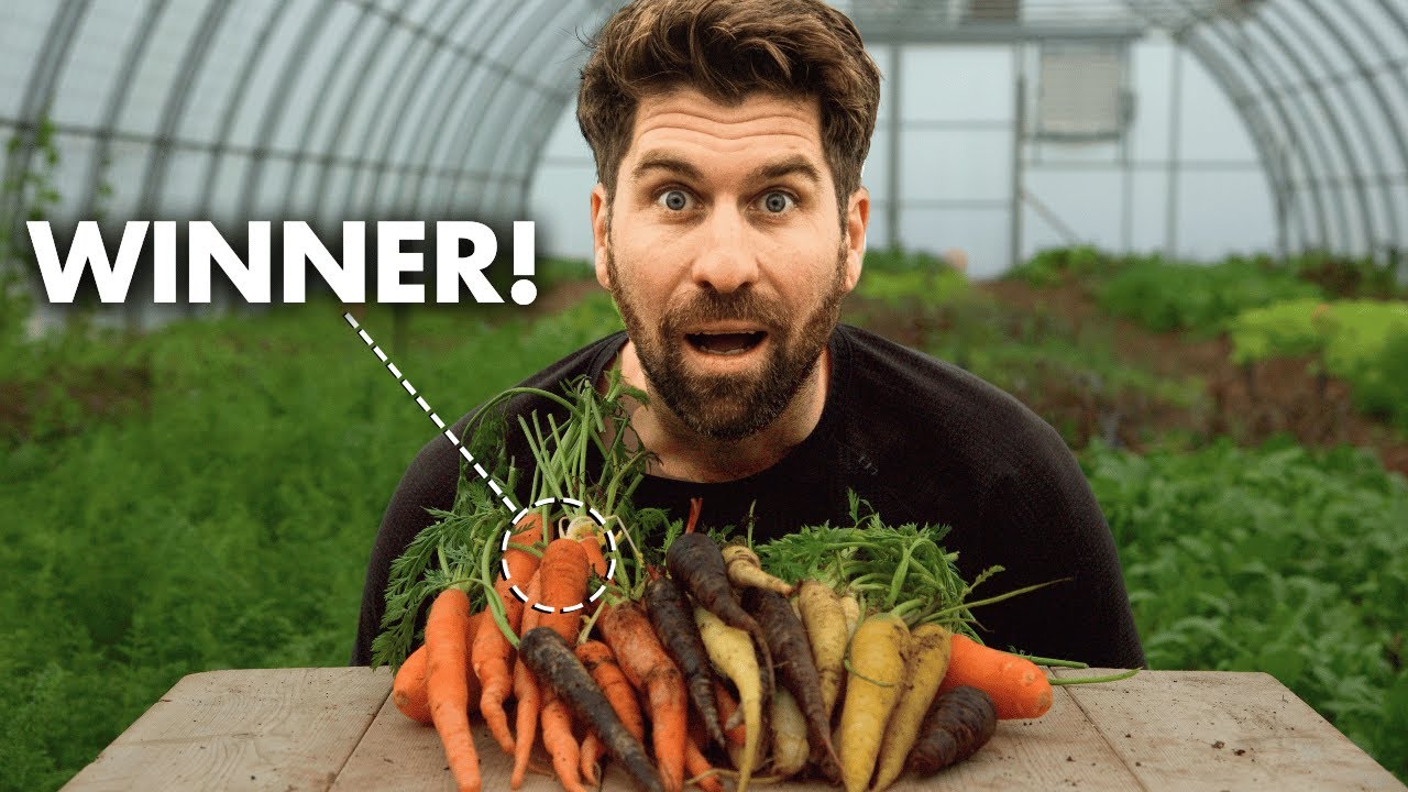 I grew every Carrot variety - here's the winner!